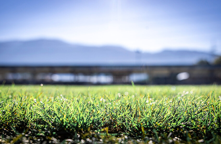 Statement des SCR Altach nach Abschluss der Ermittlungen